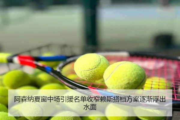 阿森纳夏窗中场引援名单收窄赖斯搭档方案逐渐浮出水面