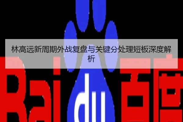 林高远新周期外战复盘与关键分处理短板深度解析