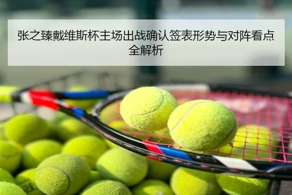 张之臻戴维斯杯主场出战确认签表形势与对阵看点全解析