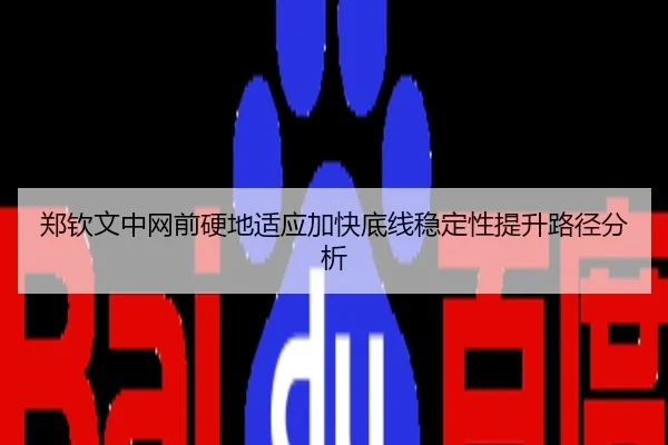 郑钦文中网前硬地适应加快底线稳定性提升路径分析